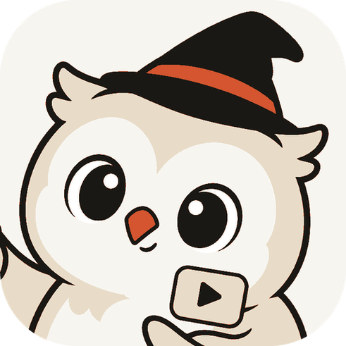 VideoCatch logo