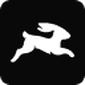 Directus logo