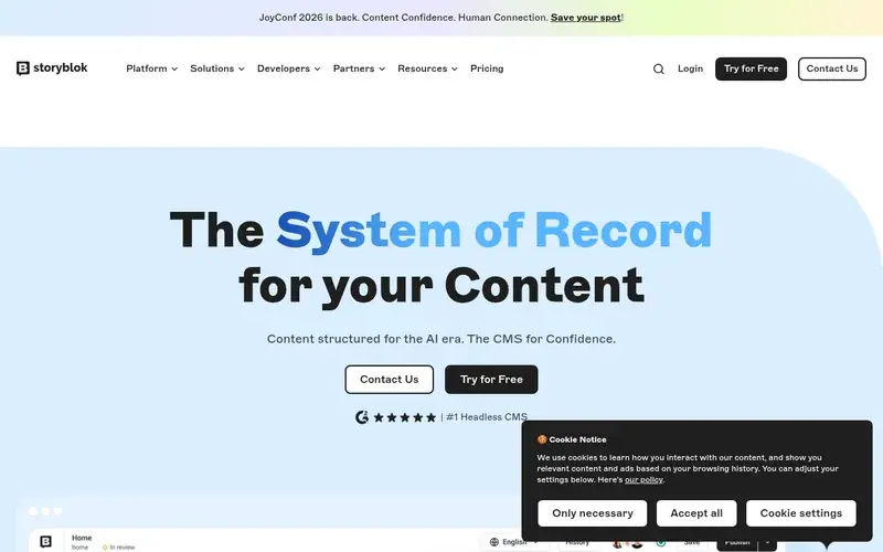Screenshot of the Storyblok homepage